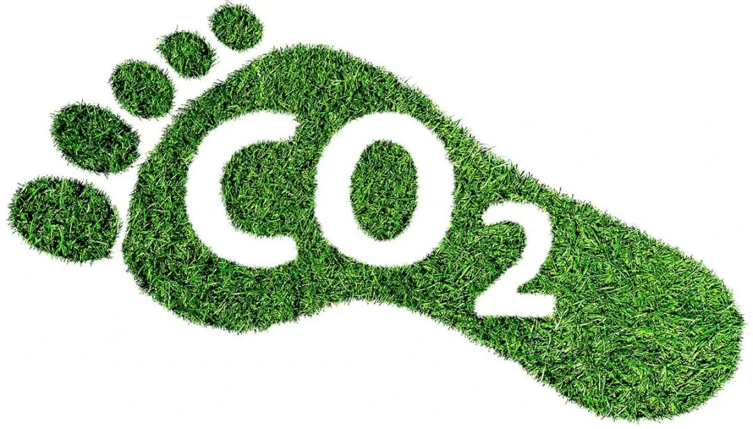 1280X1280 (1).PNG 1280X1280 (1).PNG